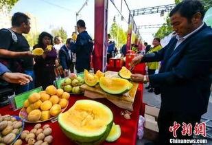 西昌最新吃瓜事件视频,视频揭秘惊人真相