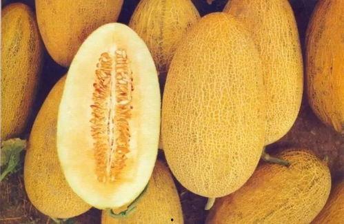 新疆吃哈密瓜烤馕视频播放,哈密瓜烤馕美食之旅