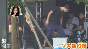 吃瓜暴击全集视频,揭秘娱乐圈幕后真相