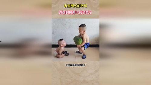 两个孩子吃瓜的视频,两萌娃欢乐吃瓜瞬间