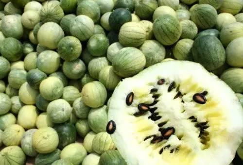 天水吃籽瓜吗好吃吗视频,口感独特，吃法多样