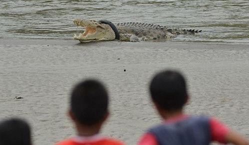 俄罗斯人吃瓜死亡视频,瓜果安全引关注