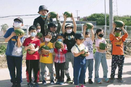 上海二中老师吃瓜视频,校园生活新视角