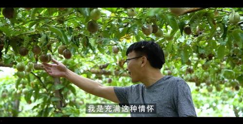 镇平吃瓜主人公视频,揭秘当地特色美食背后的故事