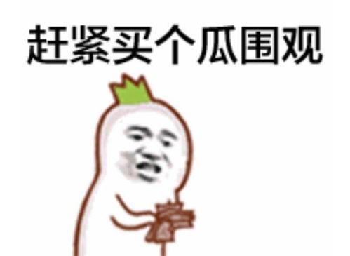 朝阳吃瓜群众龙龟视频,揭秘朝阳吃瓜群众的趣味生活