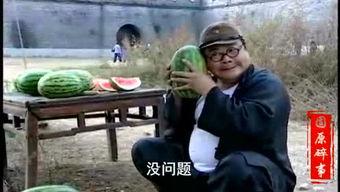 梢头村吃瓜事件视频大全,揭秘视频背后的真相与争议