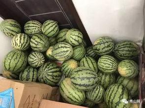 港湾一号吃瓜视频,揭秘吃瓜视频背后的热点事件