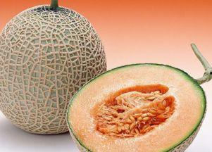 丑女吃哈密瓜视频大全下载,甜蜜瞬间，笑料横生