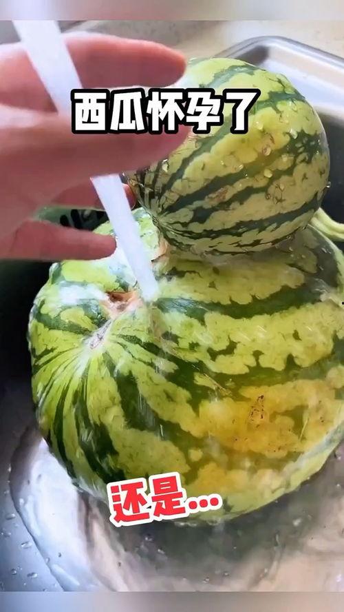 什么叫吃瓜搞笑视频,笑料横生的娱乐盛宴