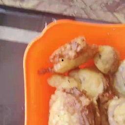 冬瓜可以弄瓜饼吃嘛视频