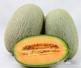 鸽子会吃哈密瓜吗视频,一场意外的味蕾之旅