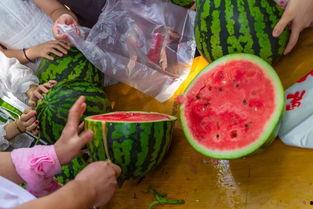 河北最近吃瓜视频,揭秘网络热点背后的故事