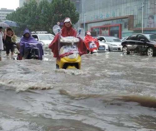 河南吃瓜事件真相视频,揭秘真相背后的惊人内幕