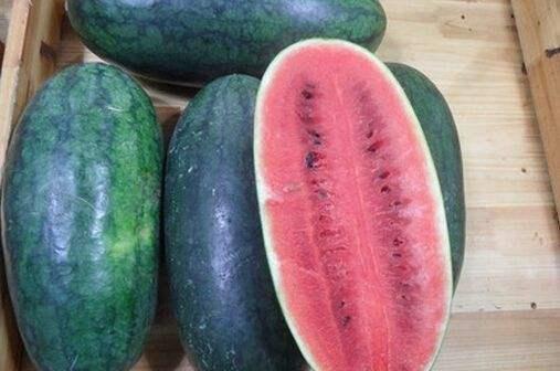 吃老脆瓜会中毒吗视频,专家揭秘真相