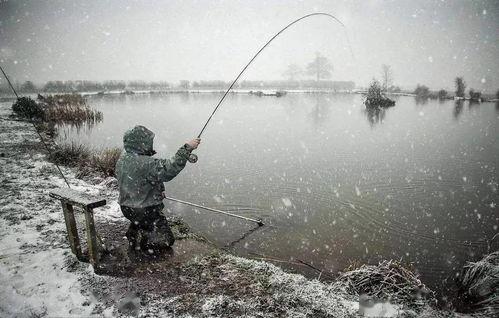 贵阳钓鱼小伙吃瓜视频播放,钓鱼也能这么有趣？