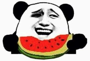 脱单吃瓜群众视频,揭秘恋爱背后的甜蜜与苦涩