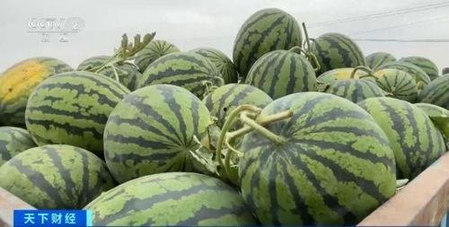 湖北宜昌吃瓜事件视频最新