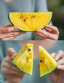 衢州吃瓜事件视频最新,一场网络热议的真相揭秘