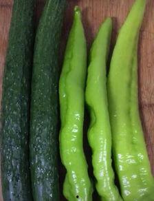 脆瓜儿怎么炒菜吃视频,家常美味，简单易学