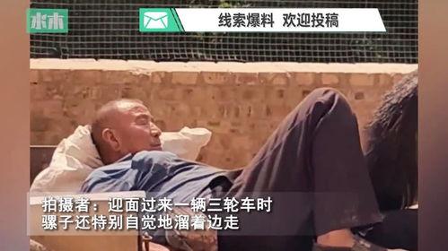 老伙计回家吃瓜视频,揭秘乡村生活趣味瞬间