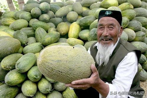 吃新疆哈密瓜过瘾视频,一口咬下，甜蜜满溢的味蕾盛宴