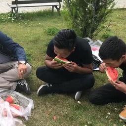 临海幼儿园吃瓜事件视频,幼儿食品安全引关注