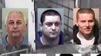 王博吃瓜群众视频全集下载,揭秘娱乐圈幕后风云