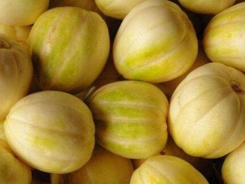 如何挑绿色香瓜吃瓜视频,视频教你轻松辨优劣