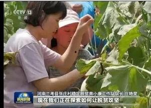 张庄吃瓜新闻事件视频,一场引发热议的网络狂欢