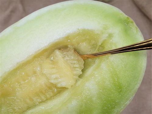 吃玉菇瓜视频测评,口感与营养的双重享受