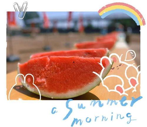 欢迎进组吃瓜视频,欢迎围观吃瓜达人！