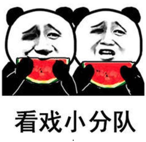 带你吃瓜视频大全,视频大全精彩瞬间回顾